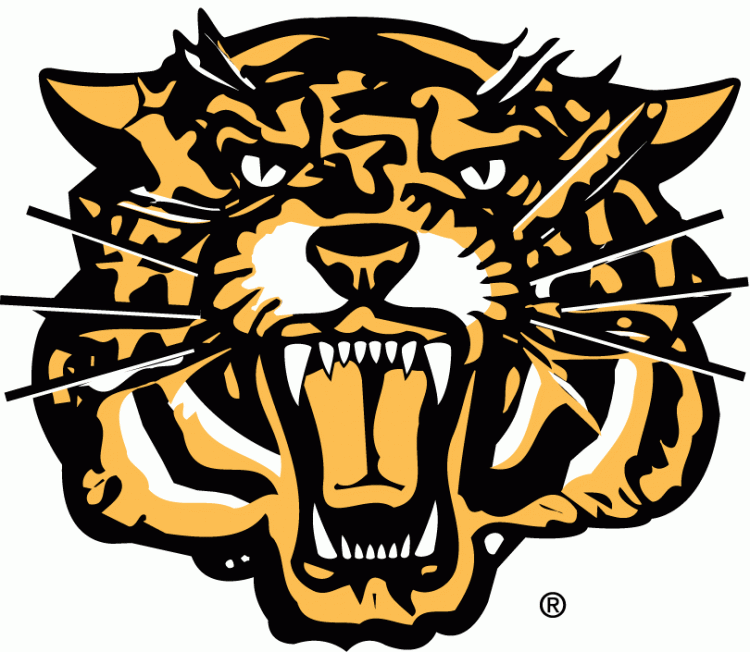 hamilton tiger-cats 1999-2004 secondary logo iron on transfers for T-shirts